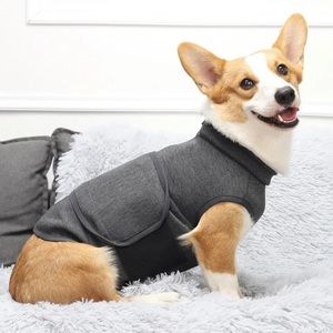 Dog thunder jacket